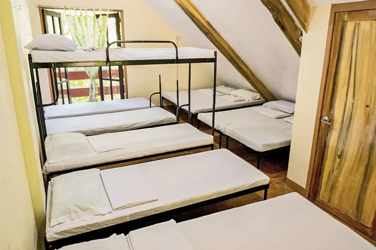 Forest Camp Resort Narra Family Cottage