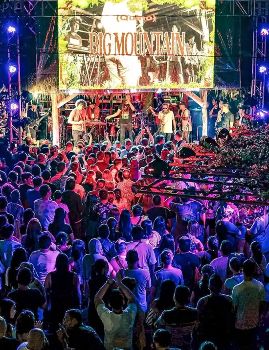 concerts at Forest Camp