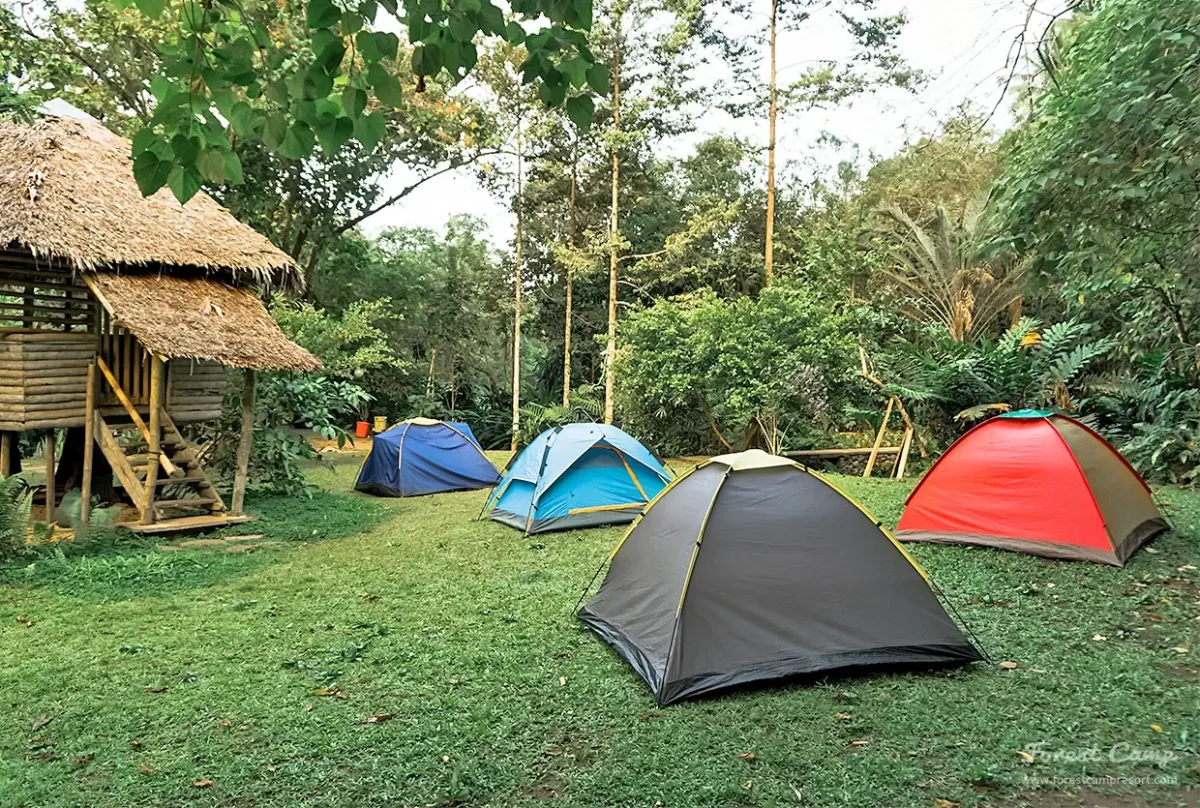 forest camp resort-camping