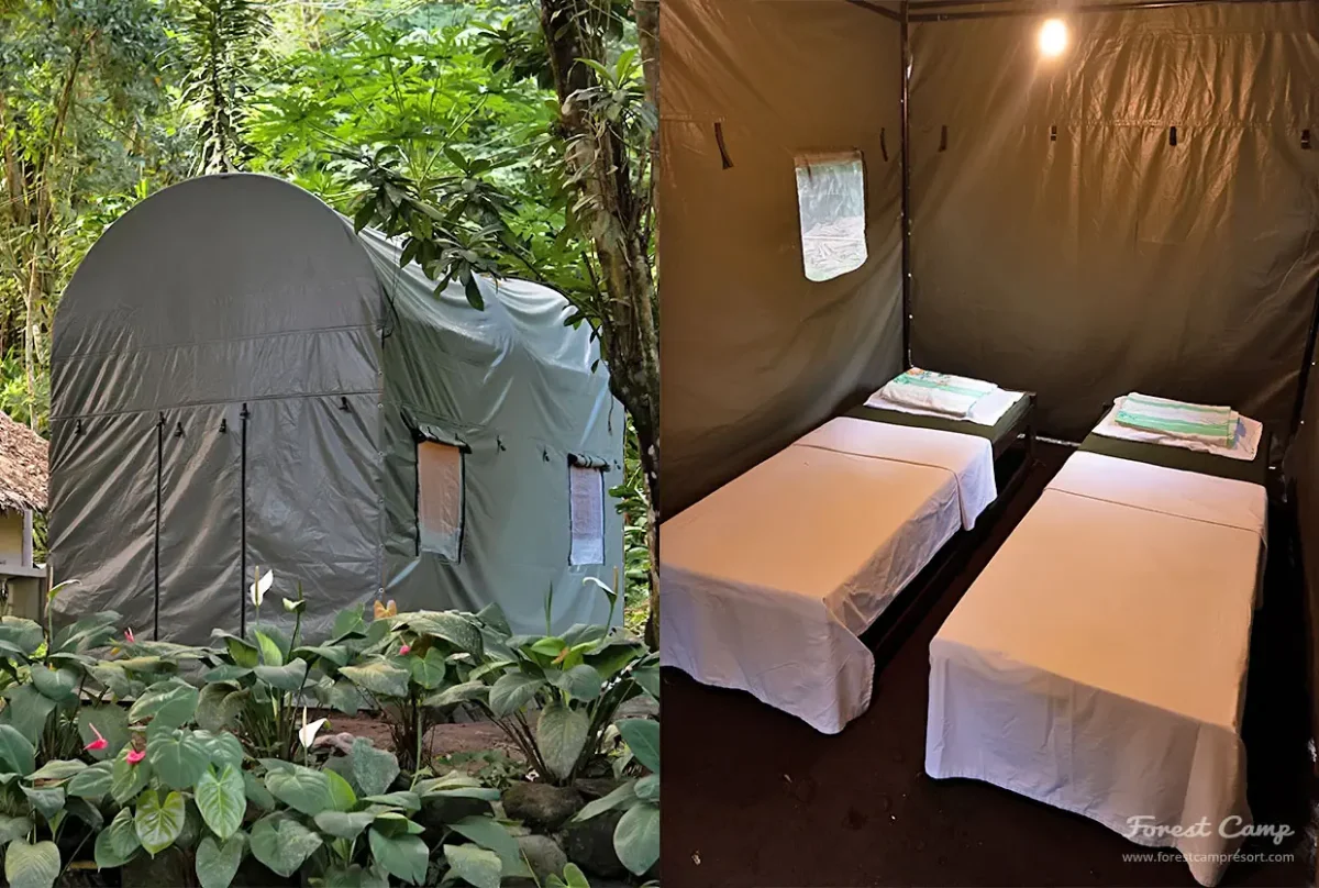 forest camp resort-camping