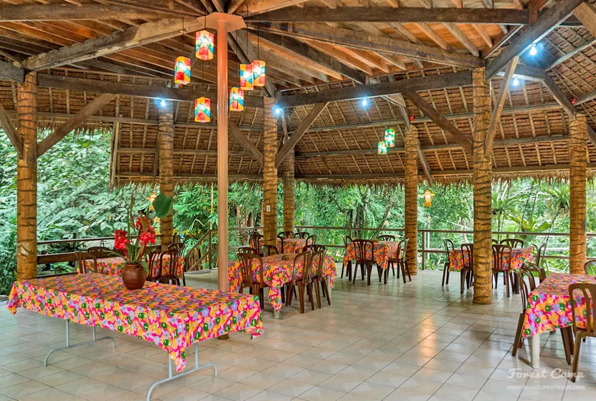 forest camp resort Kiosko