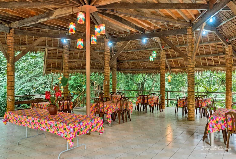 forest camp resort Kiosko