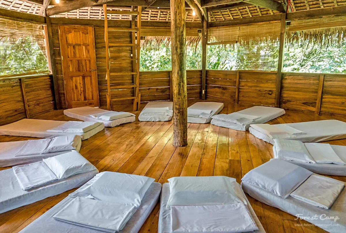 forest camp resort Kiosko