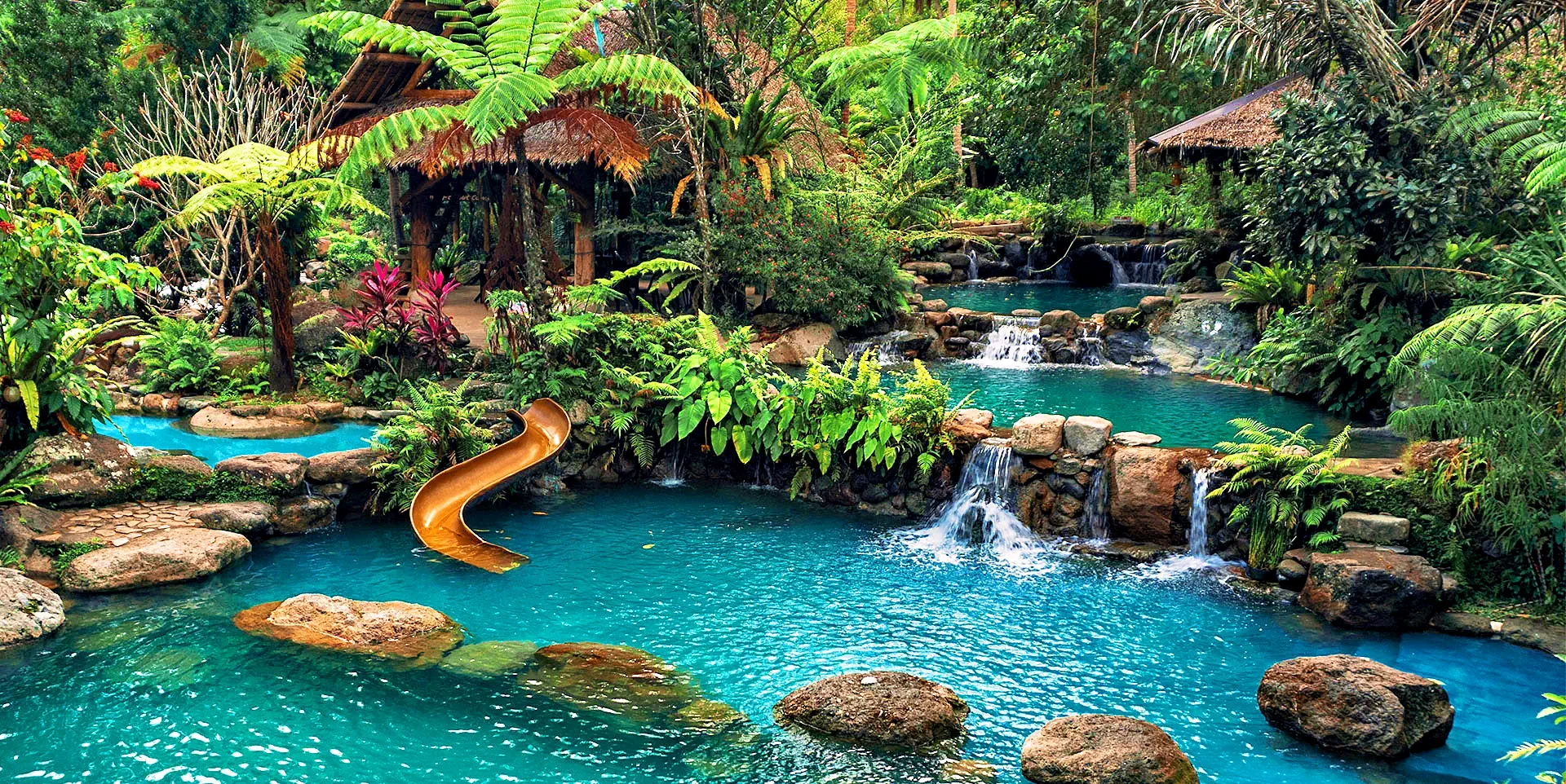 the forest camp resort