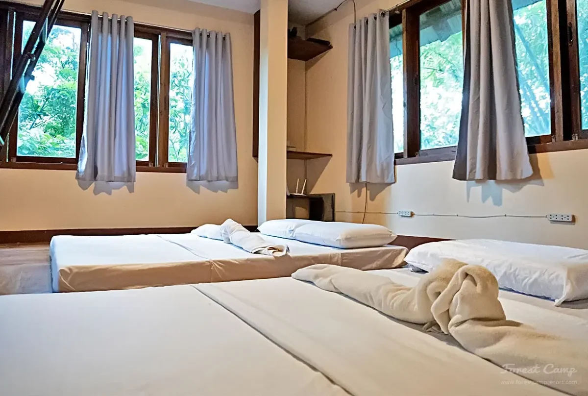 Forest Camp Resort Hillside House 2nd Floor